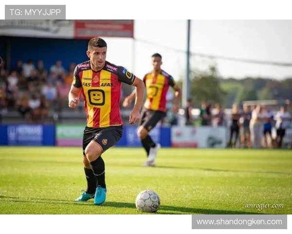 梅赫伦球队结构