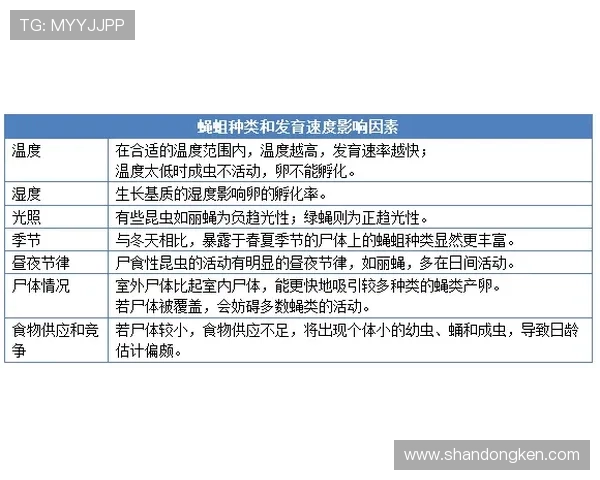 非法用手防守的判定标准与适用场景解析