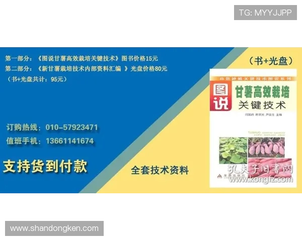 巴西出局原因解析：挪威高效反击成为关键